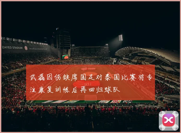 武磊因伤缺席国足对泰国比赛将专注康复训练后再回归球队